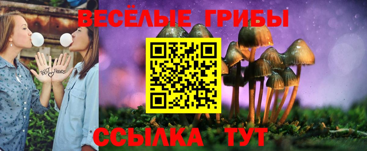 Псилоцибиновые грибы мицелий Протвино