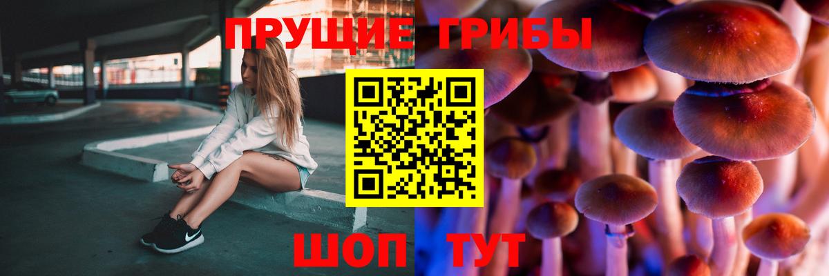 Протвино  Галлюциногенные грибы мицелий  Вход с VPN  Галлюциногенные грибы Psilocybine cubensis 